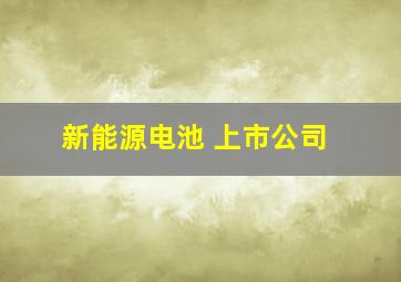 新能源电池 上市公司